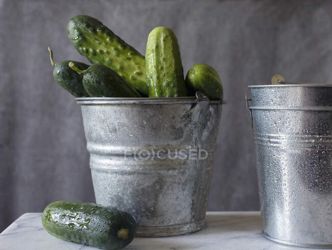 Freshly Washed Kirby Cucumbers Piled in a Galvanized Bucket — Stock Photo