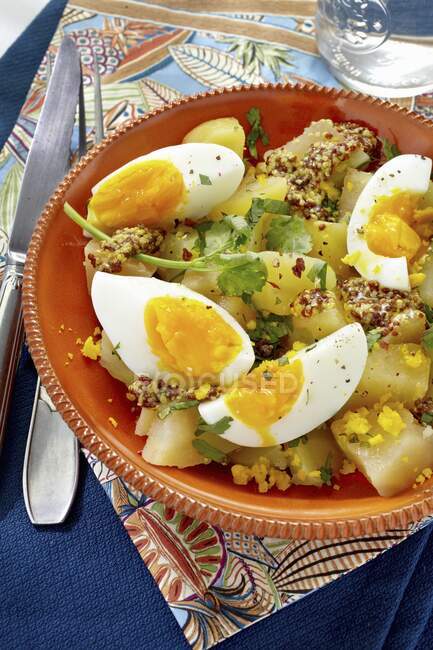 Potatoes salad with boiled eggs, mustard and herbs — Stock Photo