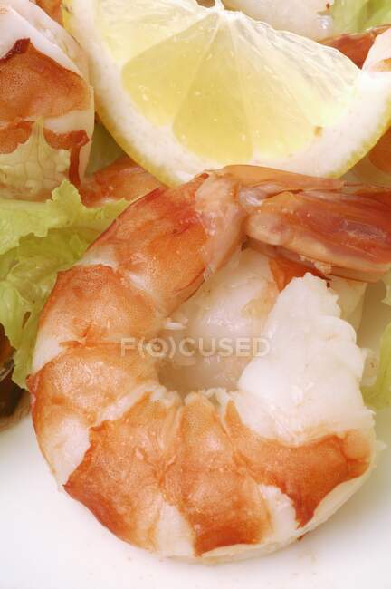 Prawns with lemon and lettuce, close-up — Stock Photo