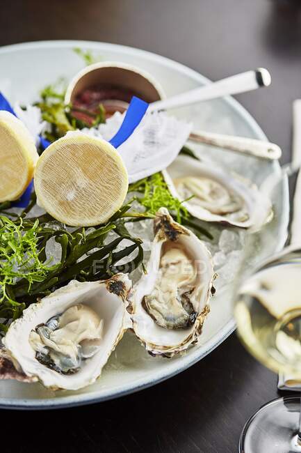 Um prato de ostras e um copo de vinho branco — Fotografia de Stock