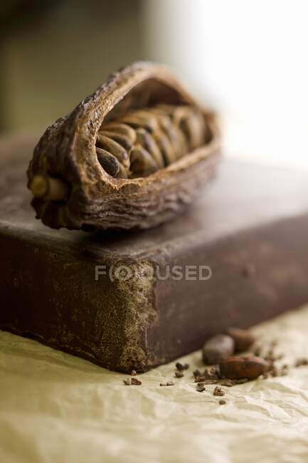 Cocoa beans and a slab of chocolate — Stock Photo
