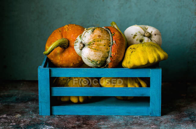 Decorative pumpkins in a blue box — Stock Photo