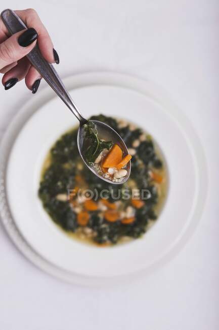 Sopa de couve com cenouras e feijão — Fotografia de Stock