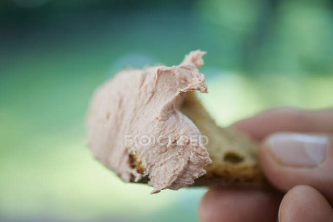 Close-up shot of delicious Liver pt on a piece of bread — Stock Photo