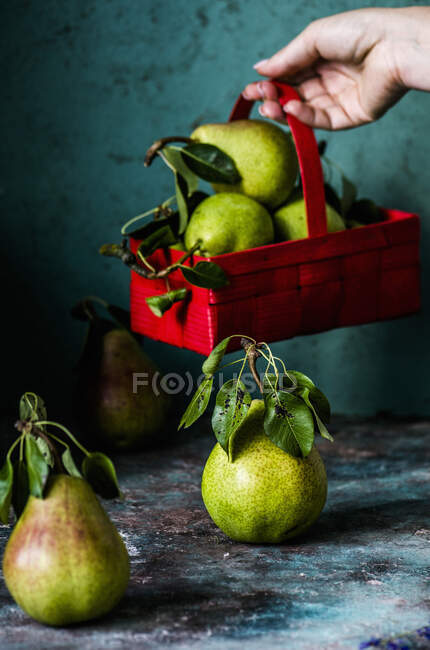 Pears in a basket — Stock Photo