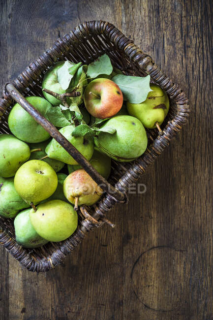 Садовые груши и яблоко в корзине — стоковое фото