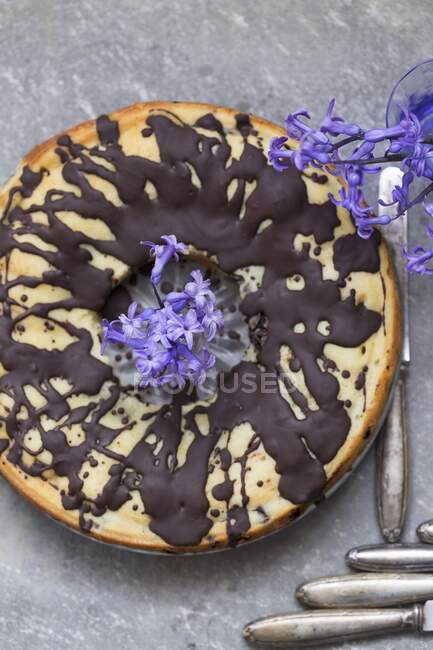 Close-up shot of delicious Gugelhupf with a chocolate glaze — Stock Photo