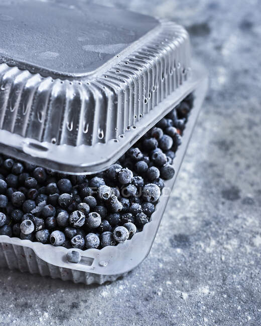 Frozen blueberries in plastic container, close up — Stock Photo