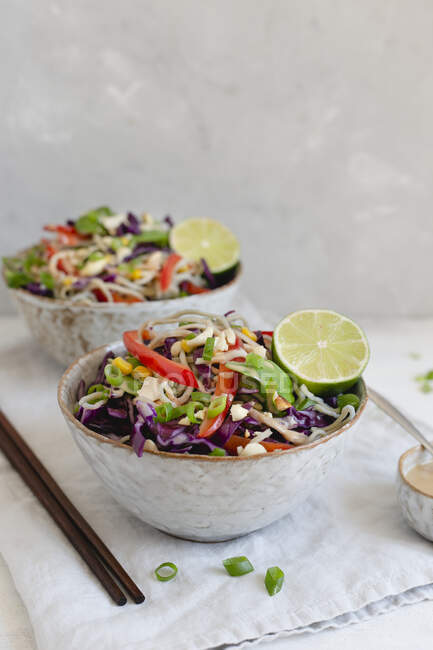 Zwei Schalen Nudelsalat mit knusprigem Gemüse und Frühlingszwiebeln — Stockfoto