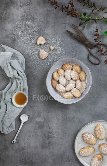 Madeleines miele con zucchero a velo su piatti con tazza di tè e stoffa — Foto stock