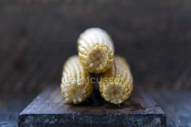 Варена кукурудза на коб — стокове фото