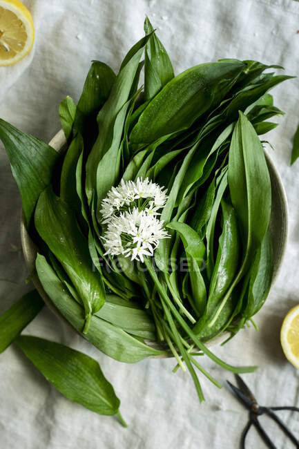 Bowl of wild garlic leaves with wild garlic flowers on a light surface — Stock Photo