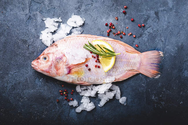 A raw pink tilapia on a dark surface (seen from above) - foto de stock