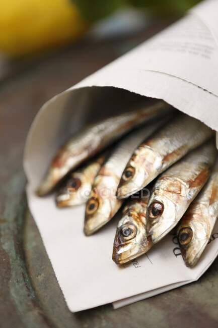 Fresh sardines in newspaper — Stock Photo