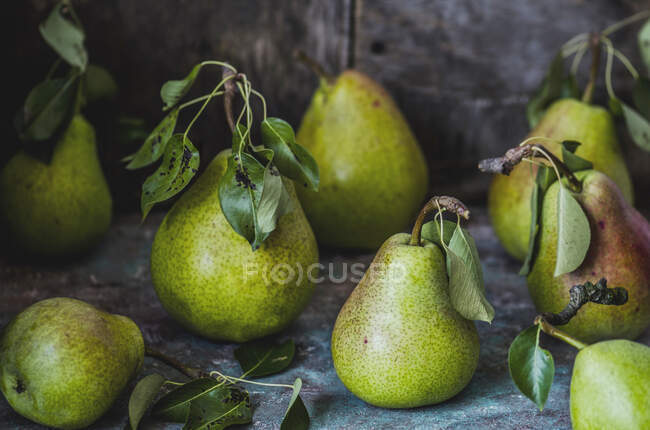 La récolte des poires — Photo de stock