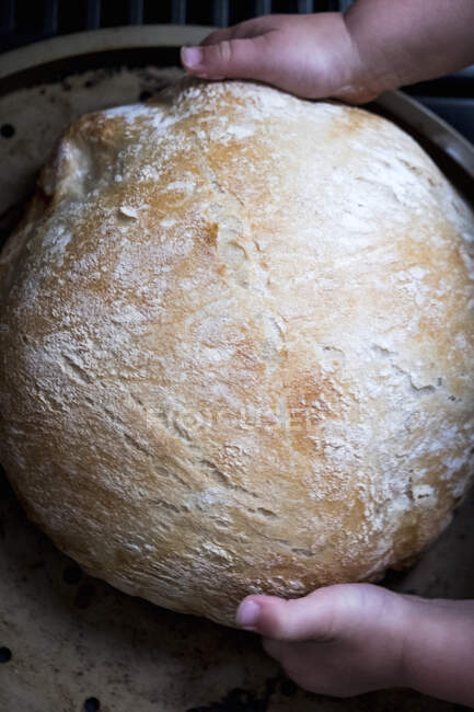 Pane fresco in piccole mani di bambino — Foto stock