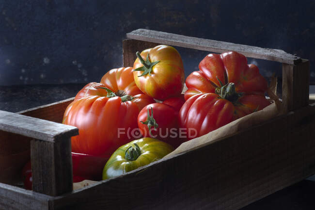 Різні види помідорів у ящику. — стокове фото