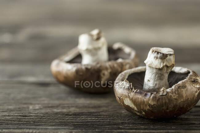 Two portobello mushrooms on a wooden surface — Stock Photo