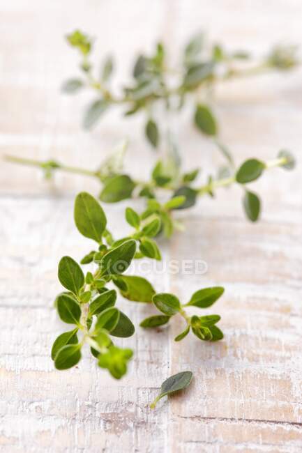 Folhas de manjericão verde fresco no fundo de madeira — Fotografia de Stock