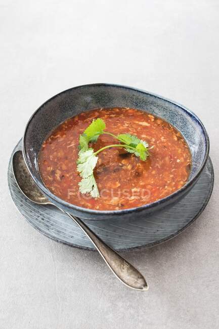 Sour soup with tomatoes — Stock Photo