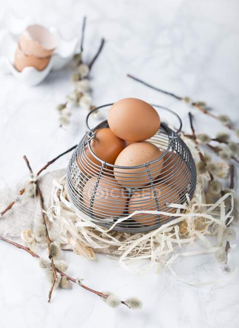 Eggs in wire basket on hay with willow branches — Stock Photo