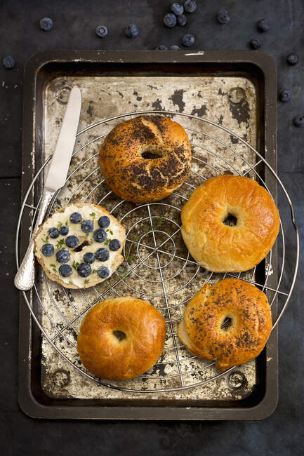 Homemade bagels with goat's cheese, blueberries, thyme and honey — Stock Photo