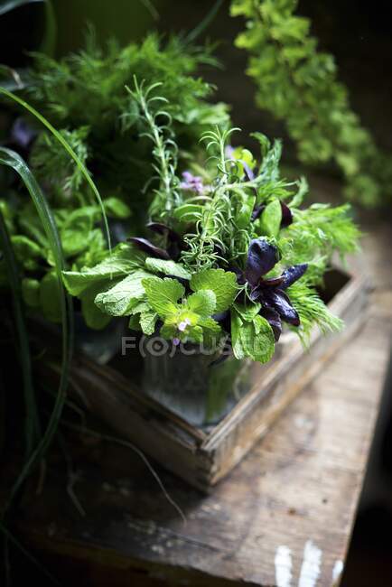 Fresh herbs in a water glass on a wooden tray — Stock Photo