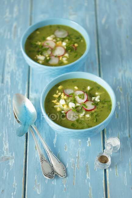 Spinach soup with egg and radishes — Stock Photo