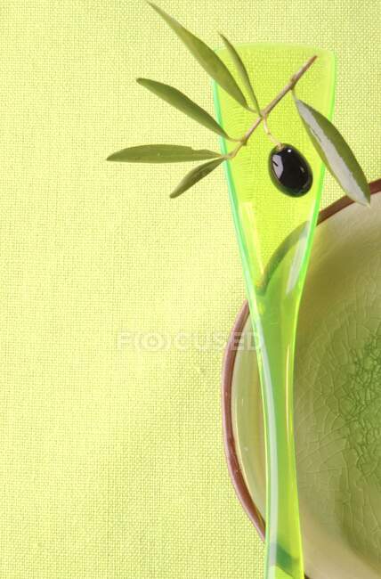 A still life featuring an olive sprig — Stock Photo