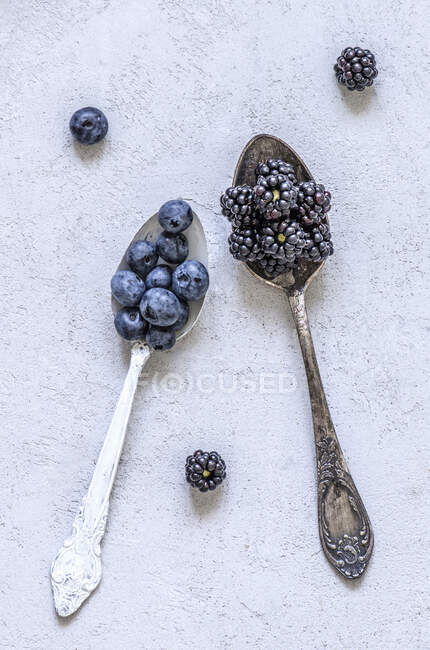 Blueberries and blackberries in tablespoons of Melchior spoons — Stock Photo