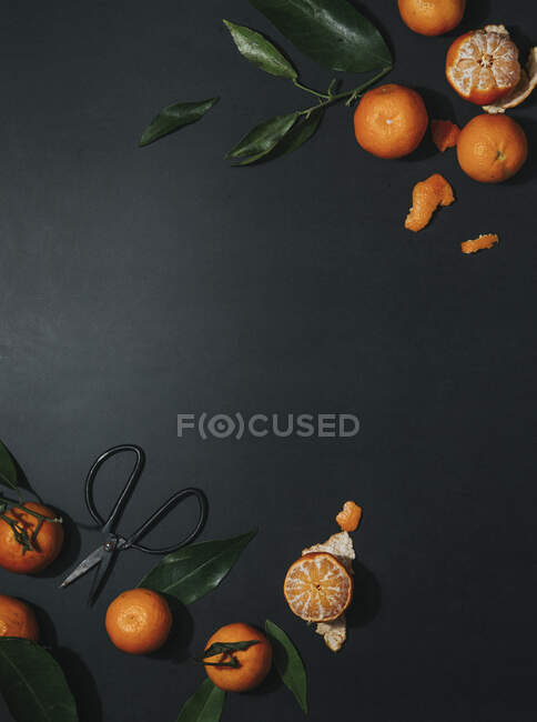 Mandarini, interi e pelati su superficie nera con foglie e forbici — Foto stock