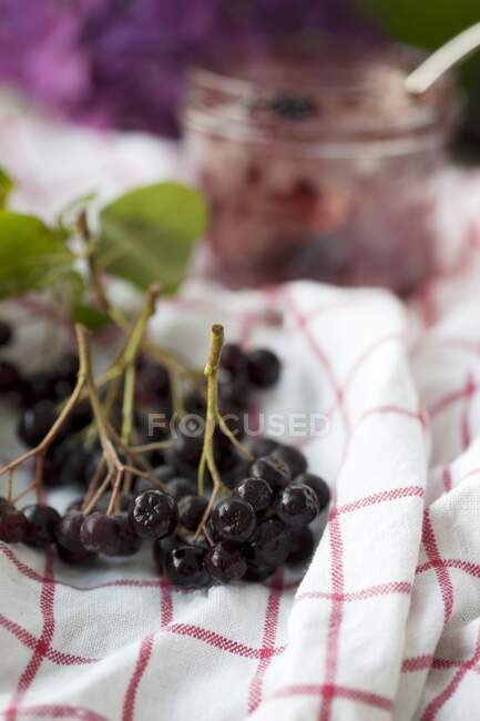 Свежие ягоды Аронии на клетчатой ткани — стоковое фото