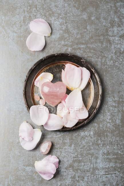 Rose quartz with rose petals on a silver plate — Stock Photo
