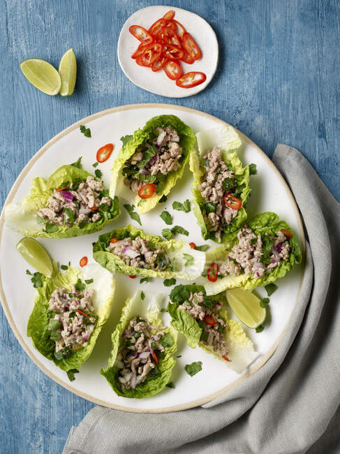 Pork in Lettuce Cups with chili pepper — Stock Photo