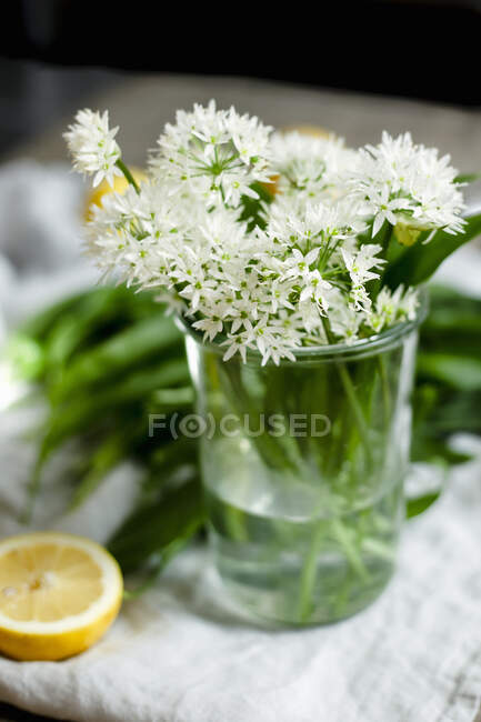 Wild garlic flowers in a glass jar — Stock Photo