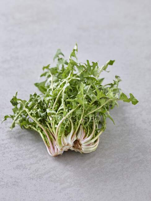 Bund frischer Puntarelle Salat auf Steinoberfläche — Stockfoto