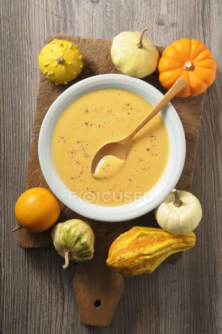 Pumpkin cream soup and ornamental gourds on a wooden board — Stock Photo