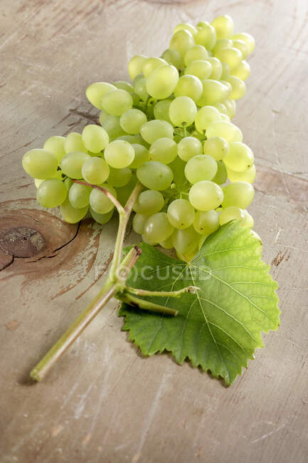 Uvas verdes sobre fondo de madera con hojas de vid - foto de stock