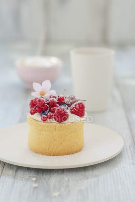 A mini Charlotte with berries — Stock Photo