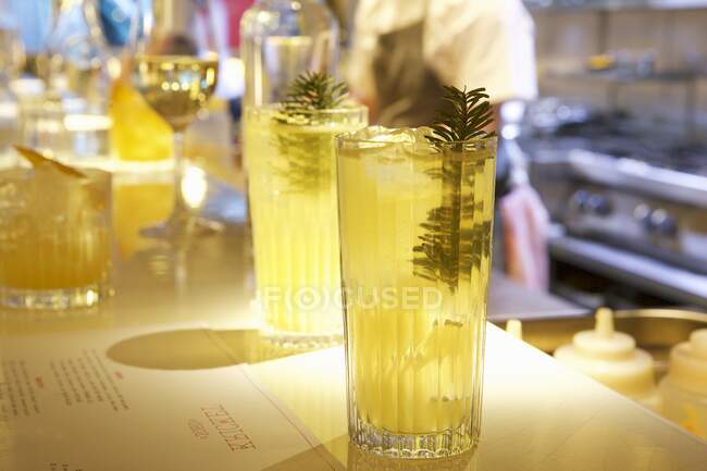 Himalayan cocktails with pine branches at bar — Stock Photo