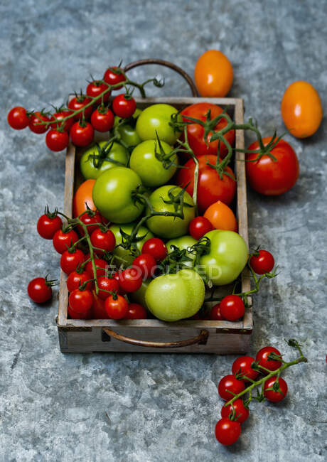 Ripe tomatoes in a bowl with fresh basil on gray background. top view. healthy food — Stock Photo