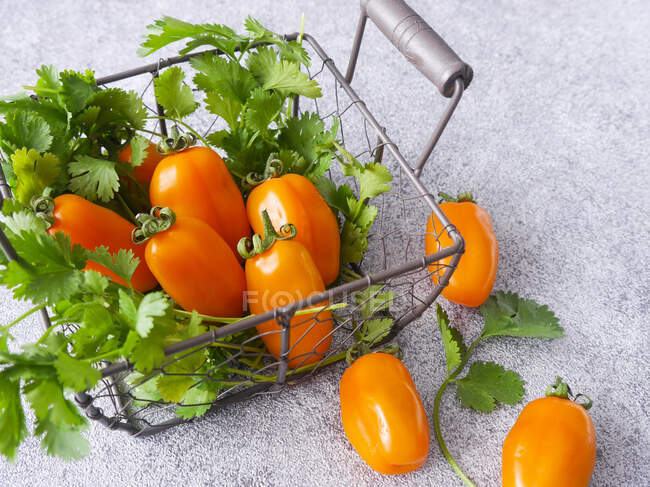 Tomates Marzanino Giallo ecológicos en una canasta de alambre - foto de stock