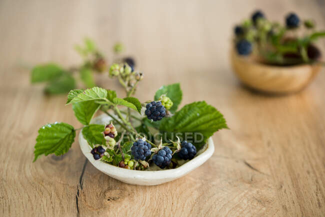 Fresh blueberries in a wooden bowl on a white background — Stock Photo