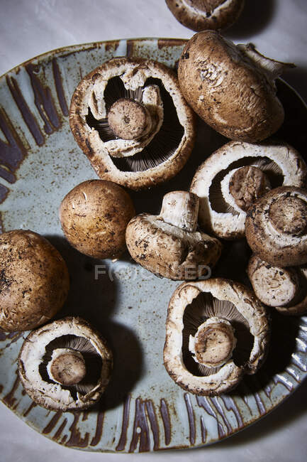 Gros plan de délicieux champignons boutons — Photo de stock