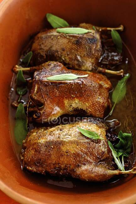 Wild duck with sage in a frying pan — Stock Photo