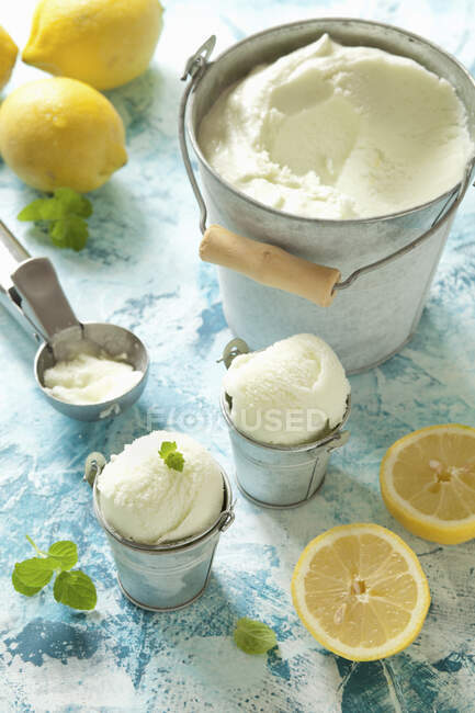 Petites casseroles de limoncello et sorbet citron à la menthe — Photo de stock