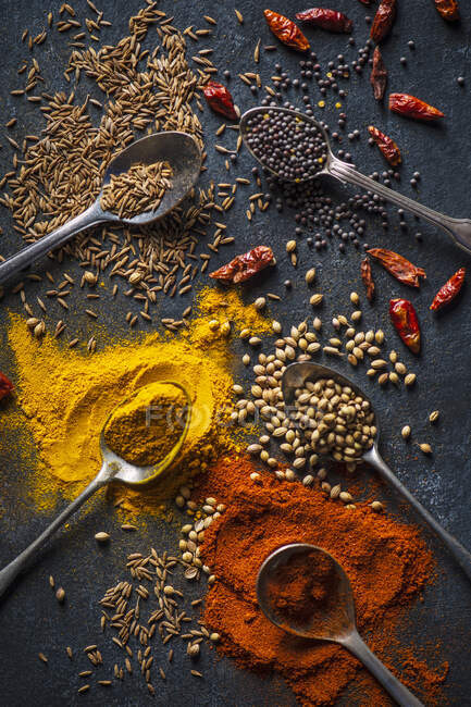 Spezie indiane secche, cumino, peperoncino, coriandolo, semi di senape su una tavola nera — Foto stock