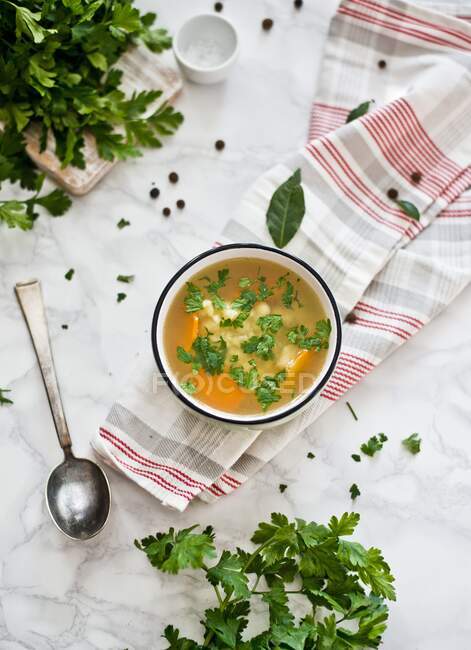 Broth with duck, vegetables and parsley — Stock Photo