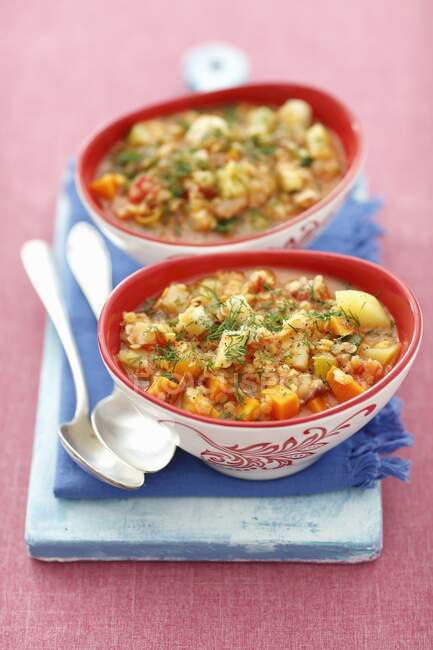 Lentil Vegetable Soup in a Bowl — Stock Photo