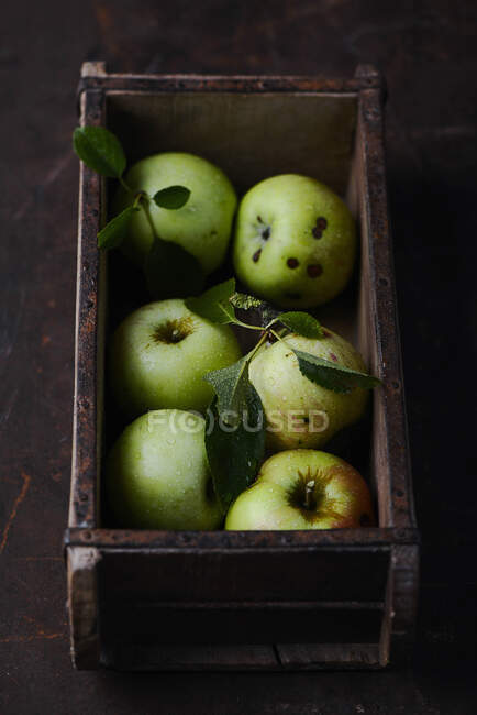 Manzanas verdes frescas en una caja de madera - foto de stock